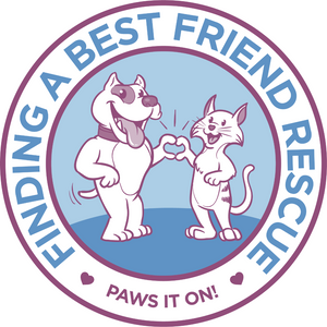 Finding A Best Friend