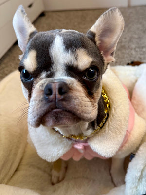 Purty Gertie's Jewelry Collection