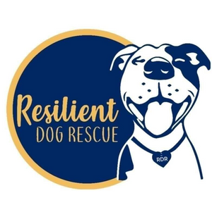 Resilient Dog Rescue