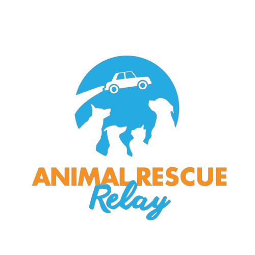 Animal Rescue Relay