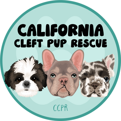 CCPR Circle Logo Unisex Tee (available in several colors) - Ruff Life Rescue Wear