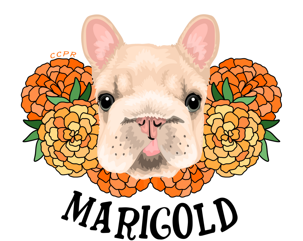 Marigold  Tee - Ruff Life Rescue Wear