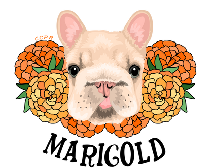 Marigold  Tee - Ruff Life Rescue Wear