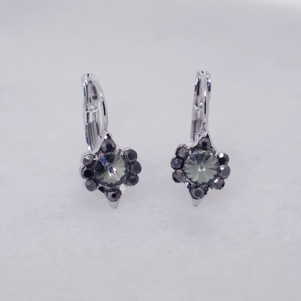 Vintage-Inspired Austrian Crystal Hoop Earrings - Ruff Life Rescue Wear
