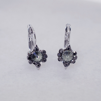 Vintage-Inspired Austrian Crystal Hoop Earrings - Ruff Life Rescue Wear