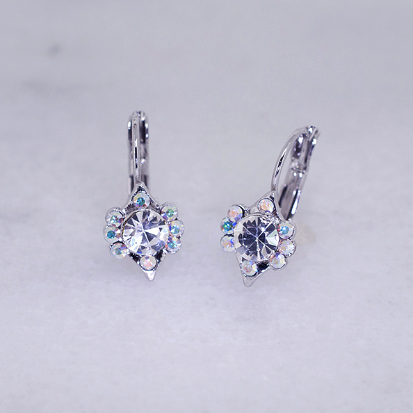 Vintage-Inspired Austrian Crystal Hoop Earrings - Ruff Life Rescue Wear