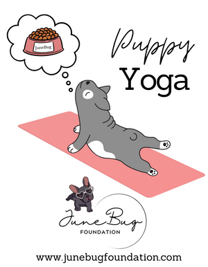 June Bug YOGA Sweatshirts (Available in several colors)
