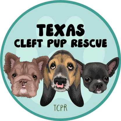 TCPR Circle Logo Unisex Tee - Ruff Life Rescue Wear