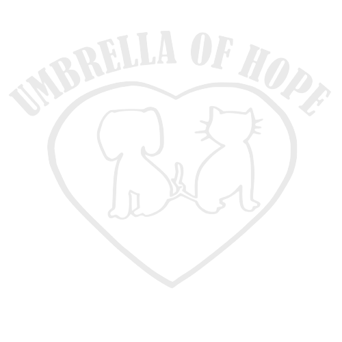 Umbrella of Hope Glitter Vinyl Decal (Available In Several Colors) - Ruff Life Rescue Wear