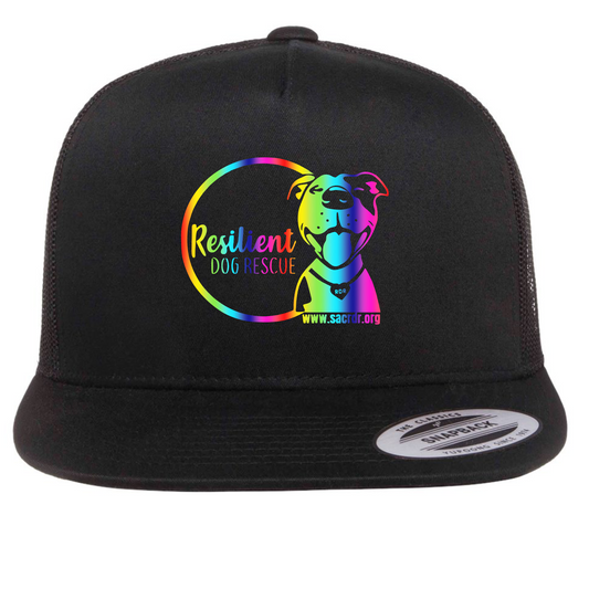 Resilient Dog Rescue Rainbow Logo Flat Bill Snapback Hat