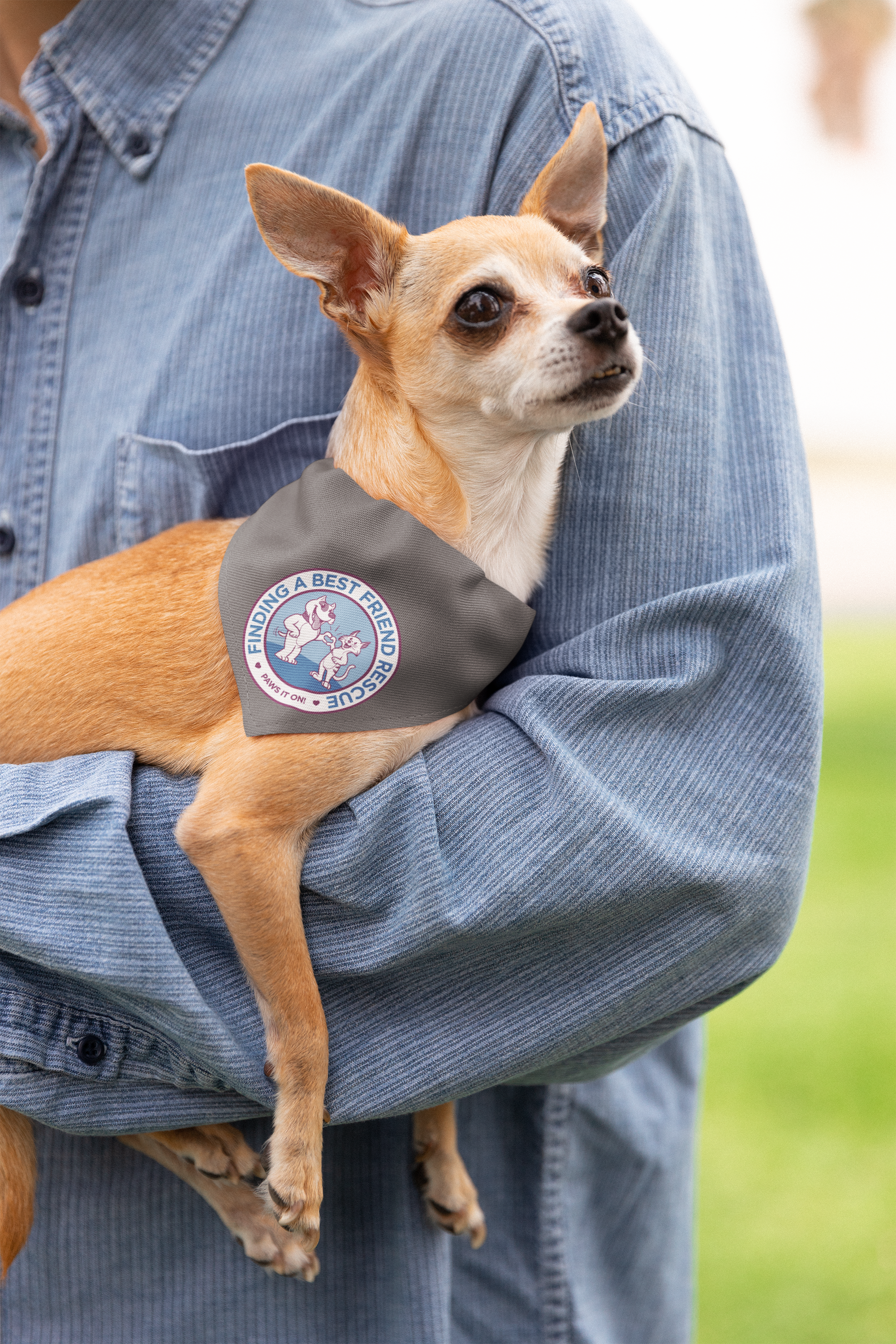 Finding A Best Friend Doggie Bandana - Ruff Life Rescue Wear