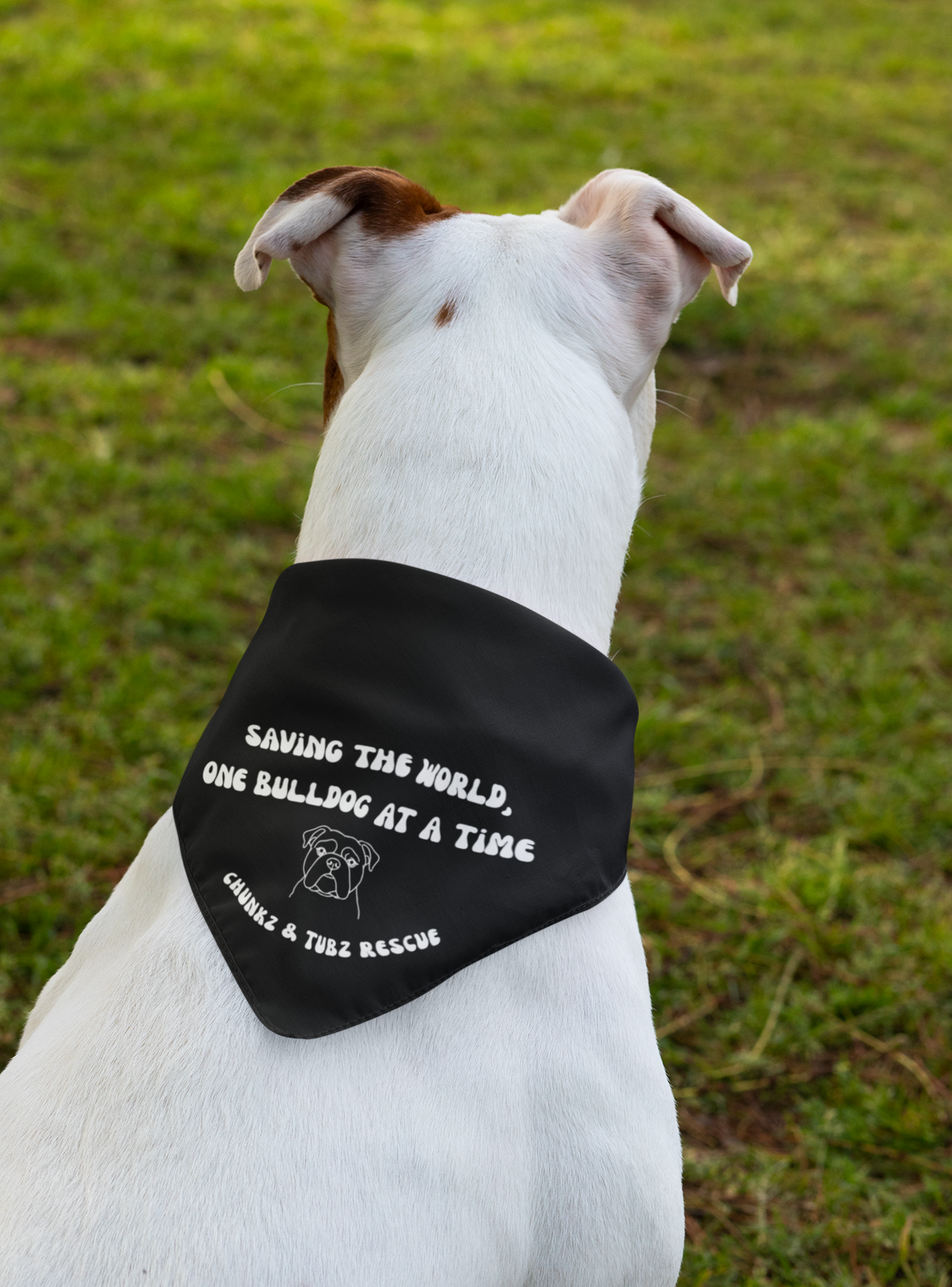 Chunkz & Tubz Bandana (available in several colors) - Ruff Life Rescue Wear