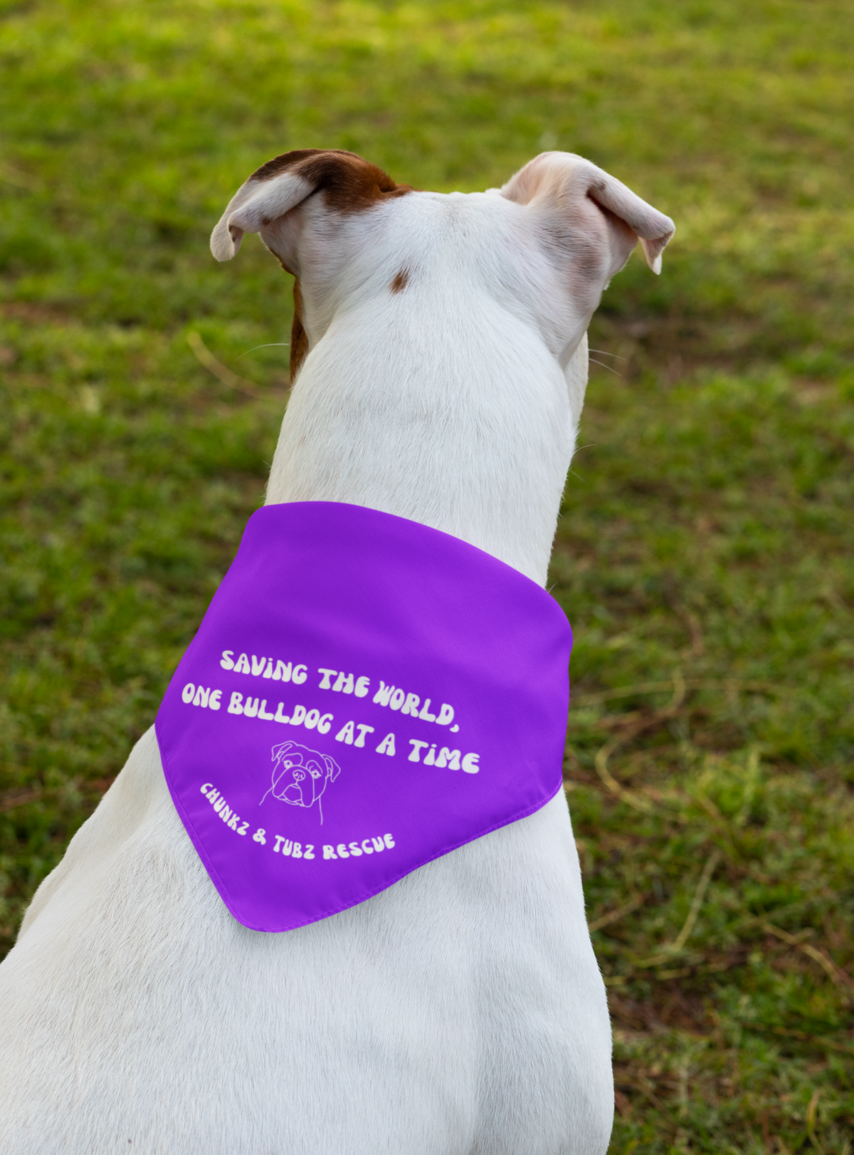 Chunkz & Tubz Bandana (available in several colors) - Ruff Life Rescue Wear