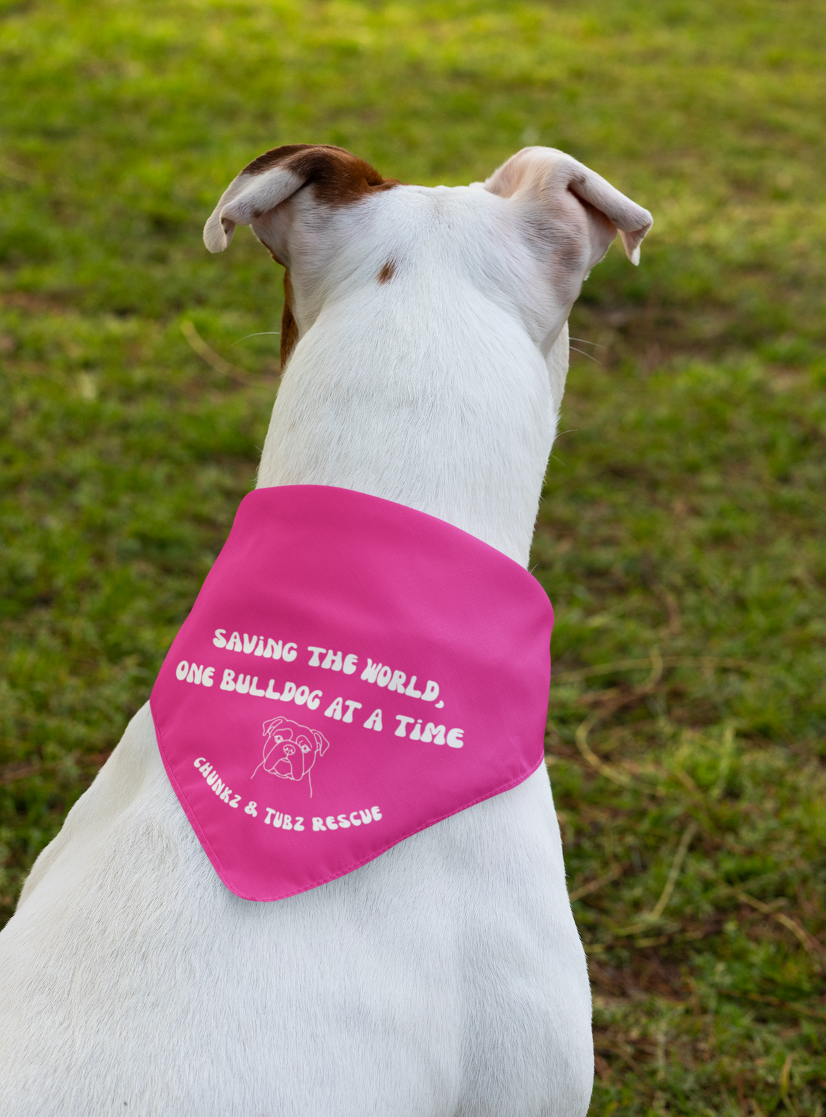 Chunkz & Tubz Bandana (available in several colors) - Ruff Life Rescue Wear