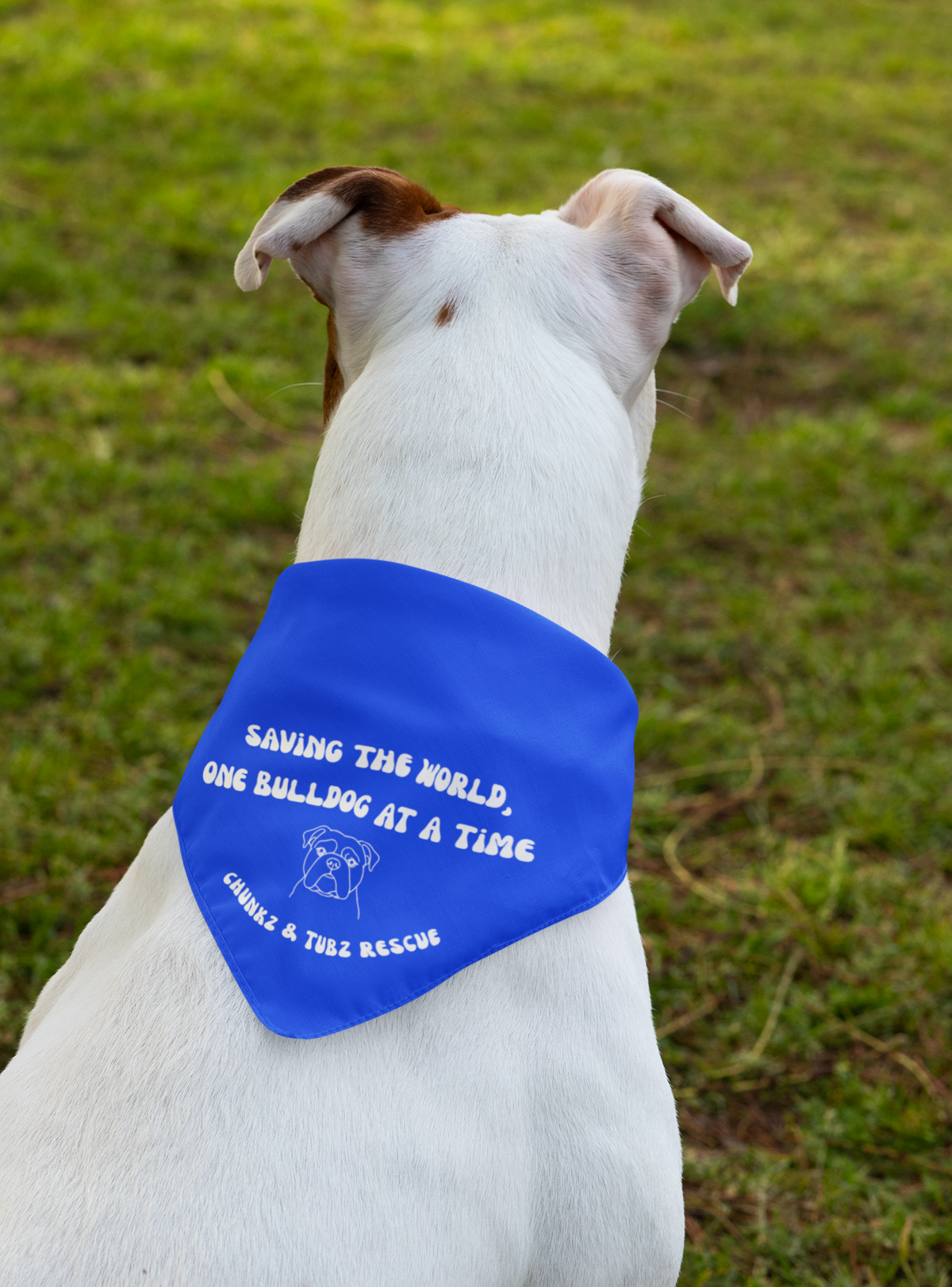 Chunkz & Tubz Bandana (available in several colors) - Ruff Life Rescue Wear