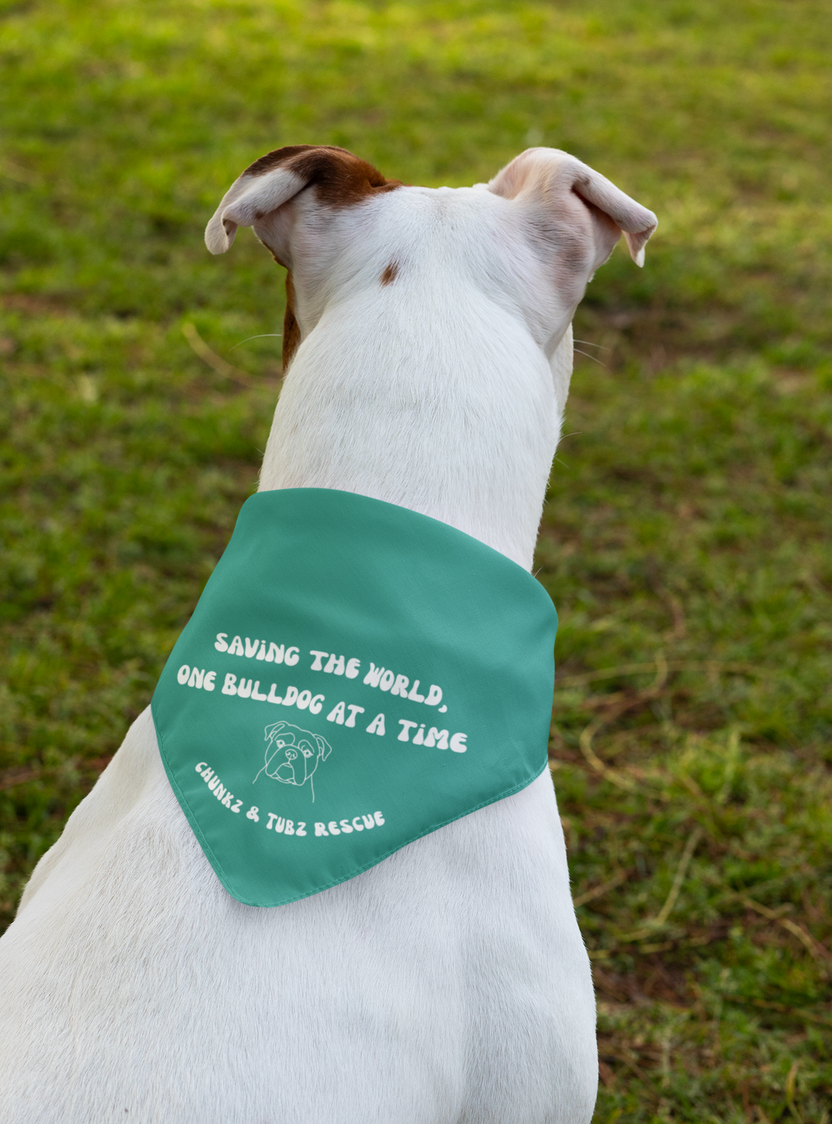 Chunkz & Tubz Bandana (available in several colors) - Ruff Life Rescue Wear