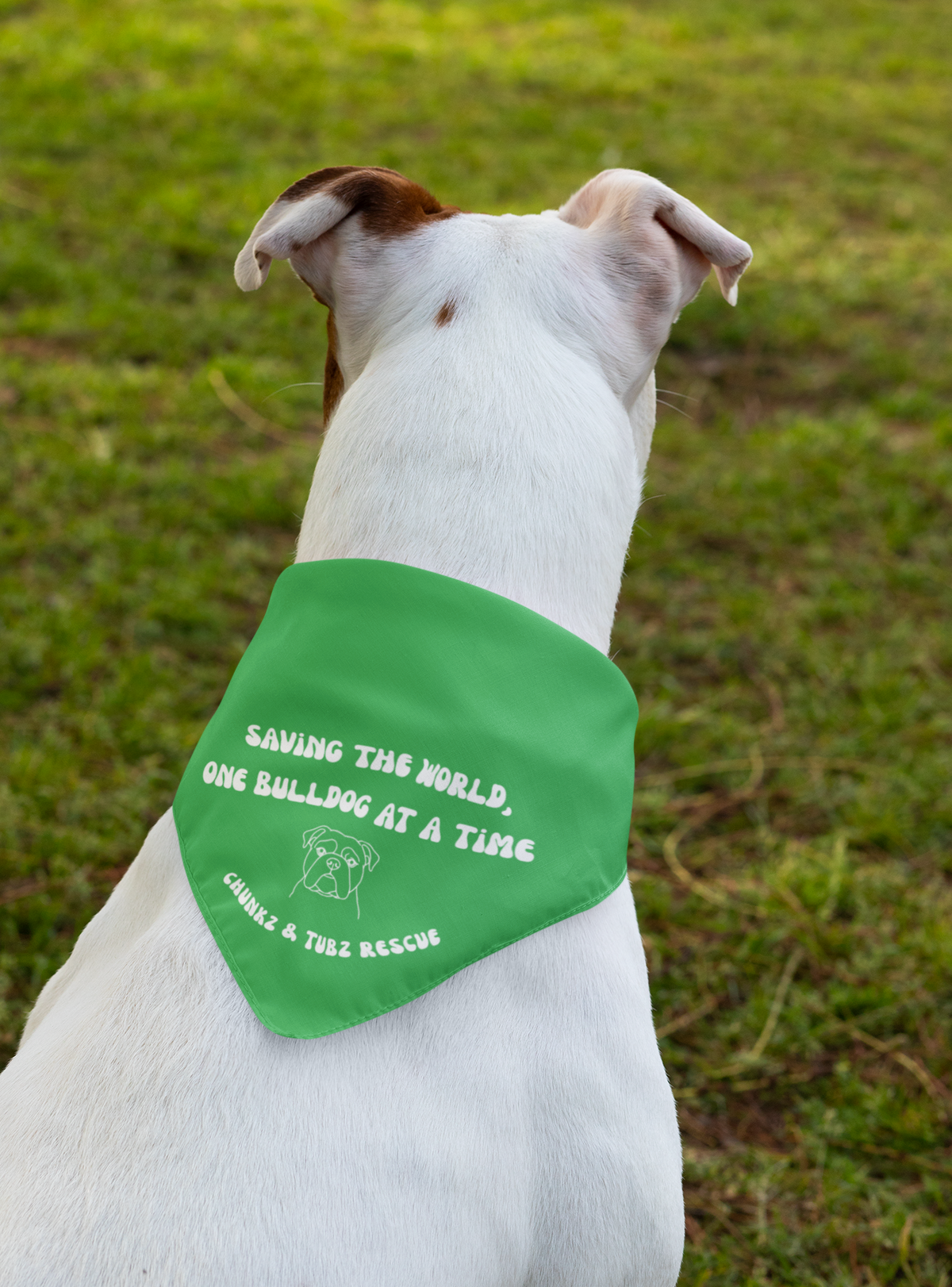 Chunkz & Tubz Bandana (available in several colors) - Ruff Life Rescue Wear