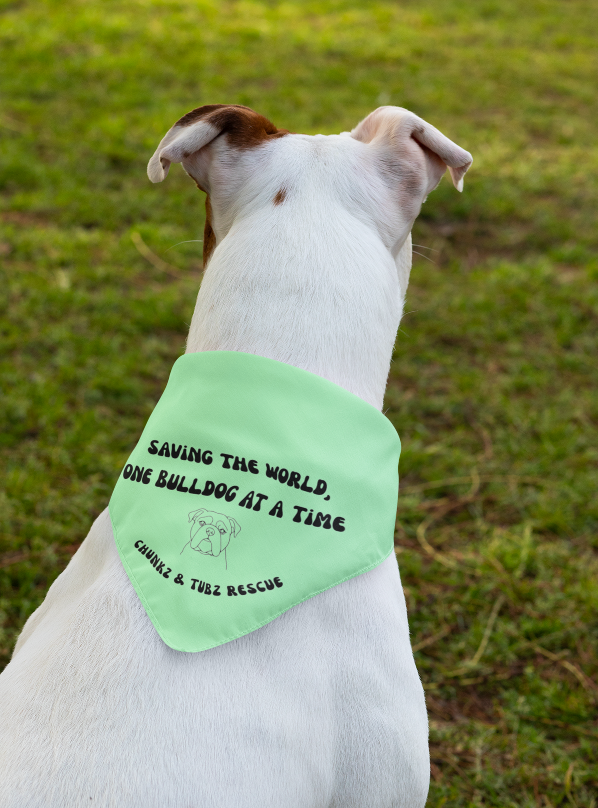 Chunkz & Tubz Bandana (available in several colors) - Ruff Life Rescue Wear