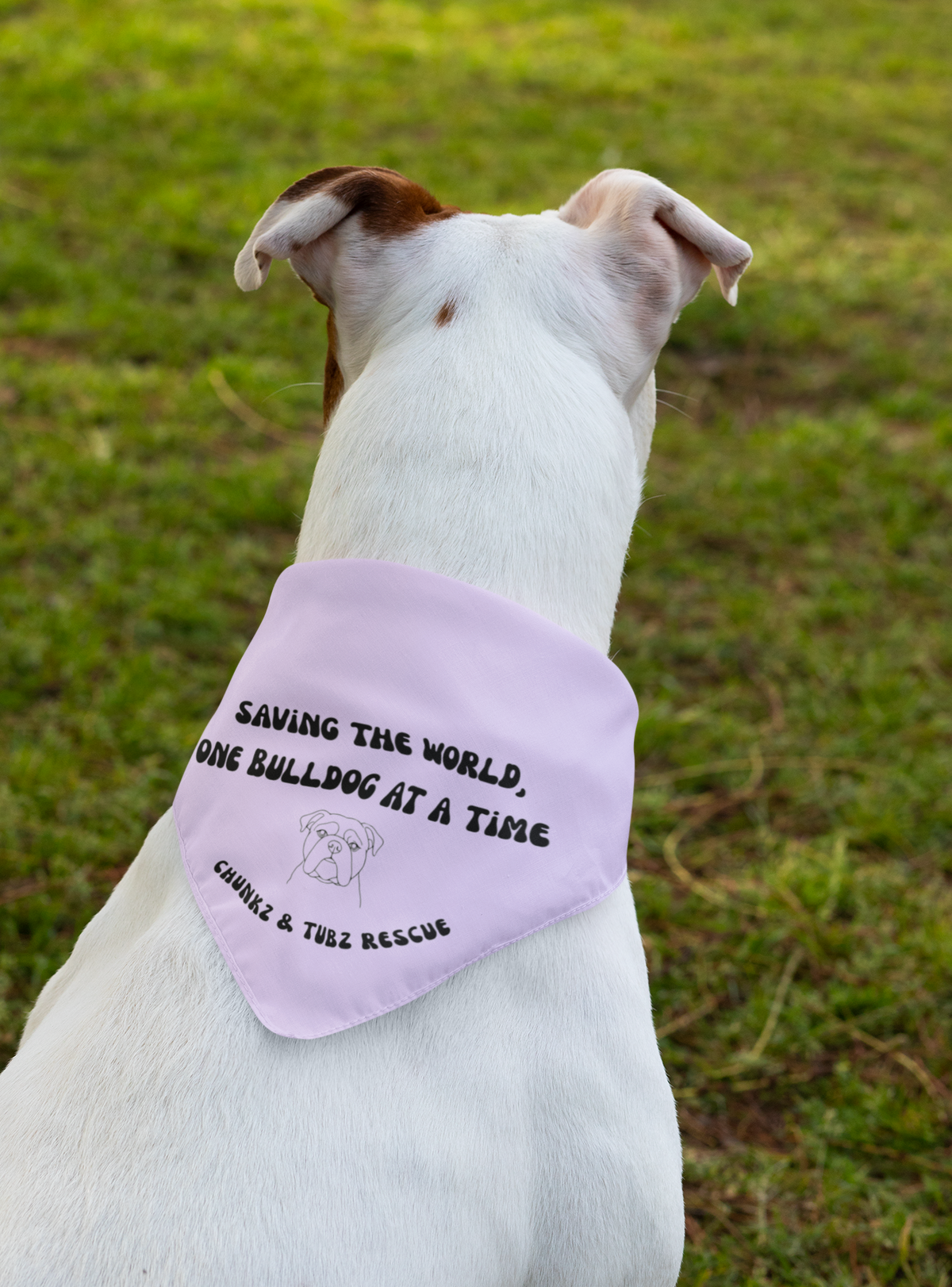 Chunkz & Tubz Bandana (available in several colors) - Ruff Life Rescue Wear