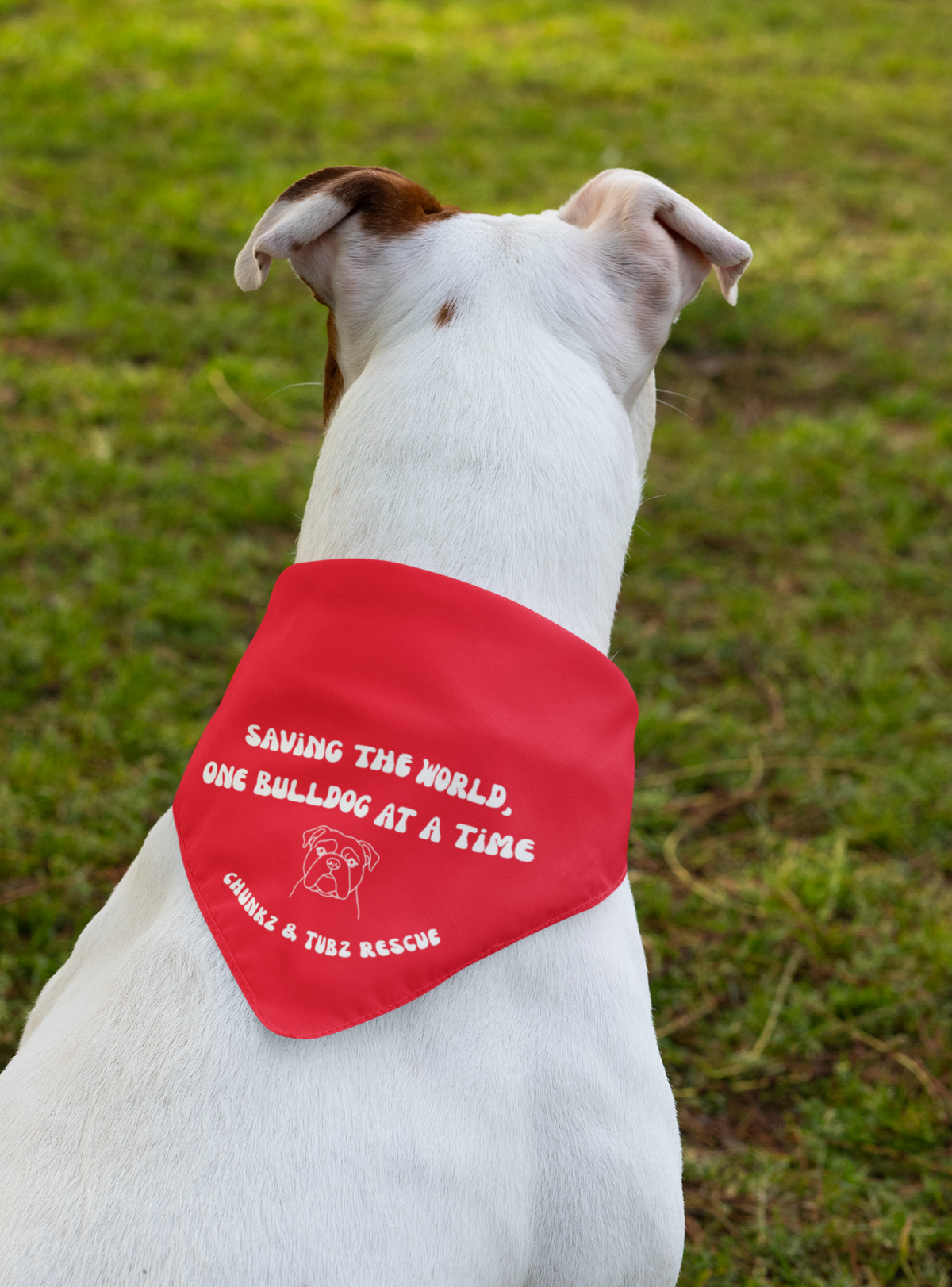 Chunkz & Tubz Bandana (available in several colors) - Ruff Life Rescue Wear