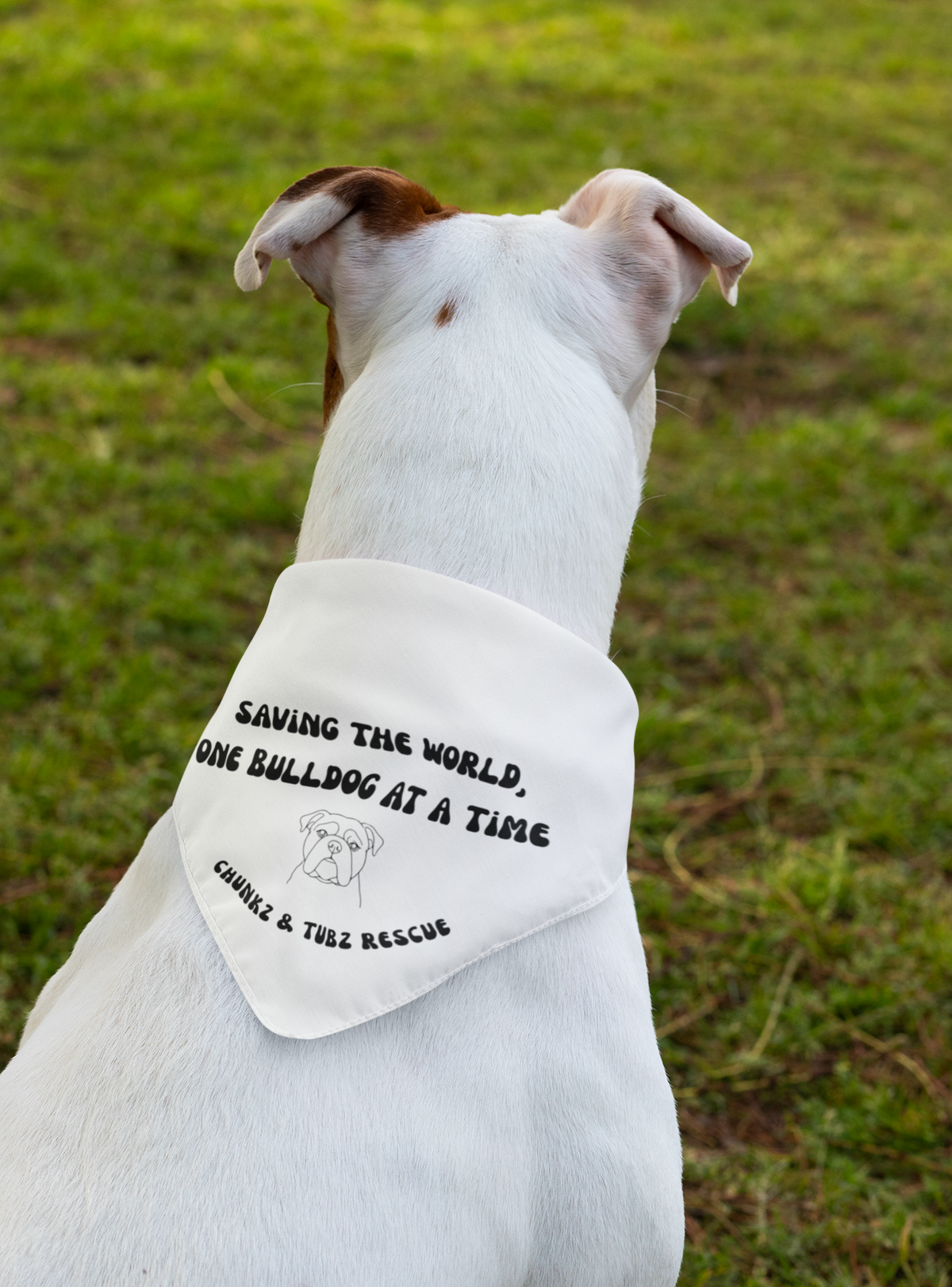 Chunkz & Tubz Bandana (available in several colors) - Ruff Life Rescue Wear
