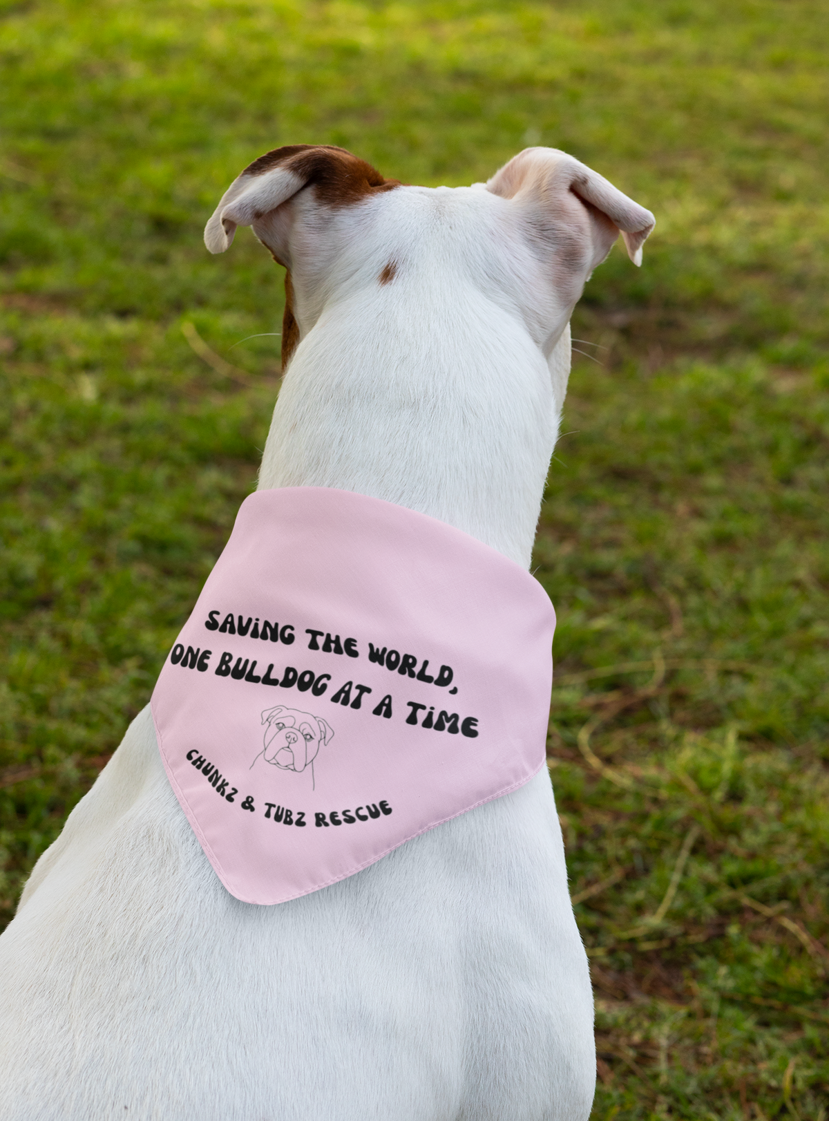 Chunkz & Tubz Bandana (available in several colors) - Ruff Life Rescue Wear