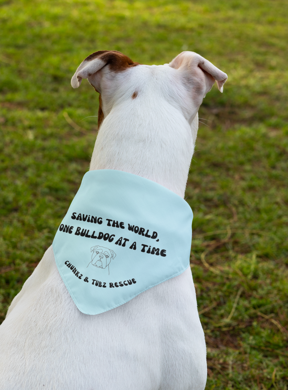 Chunkz & Tubz Bandana (available in several colors) - Ruff Life Rescue Wear