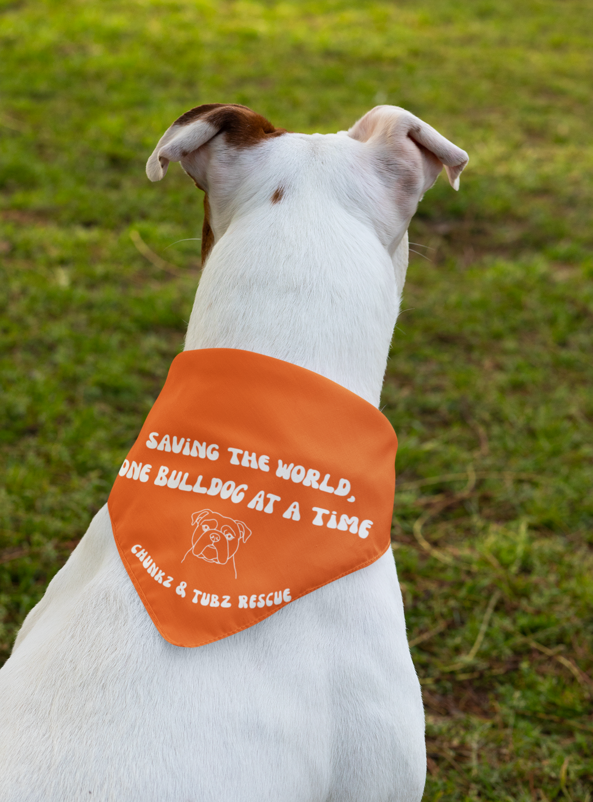 Chunkz & Tubz Bandana (available in several colors) - Ruff Life Rescue Wear
