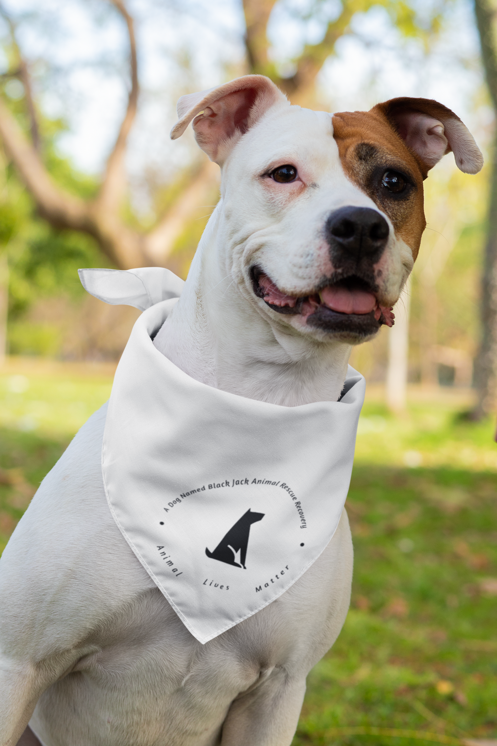 Jack Black Bandana (available in several colors)