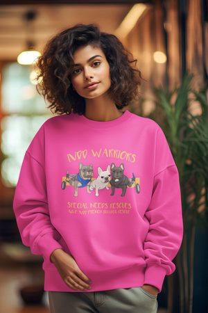 A&E Sweatshirts (Available in several colors)