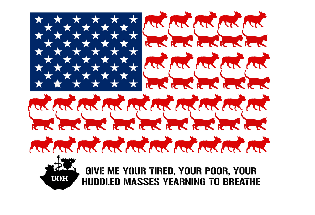 Patriotic Umbrella of Hope Flowy Tank - Ruff Life Rescue Wear