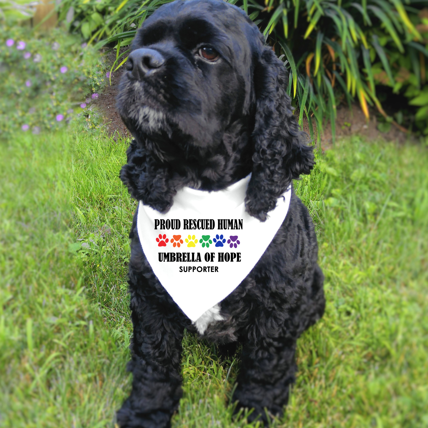 Pride Umbrella of Hope Doggie Bandana - Ruff Life Rescue Wear