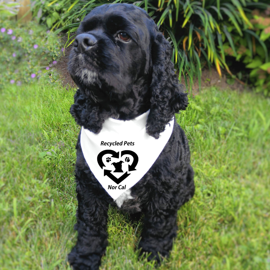 Recycled Pets NorCal Doggie Bandana - Ruff Life Rescue Wear