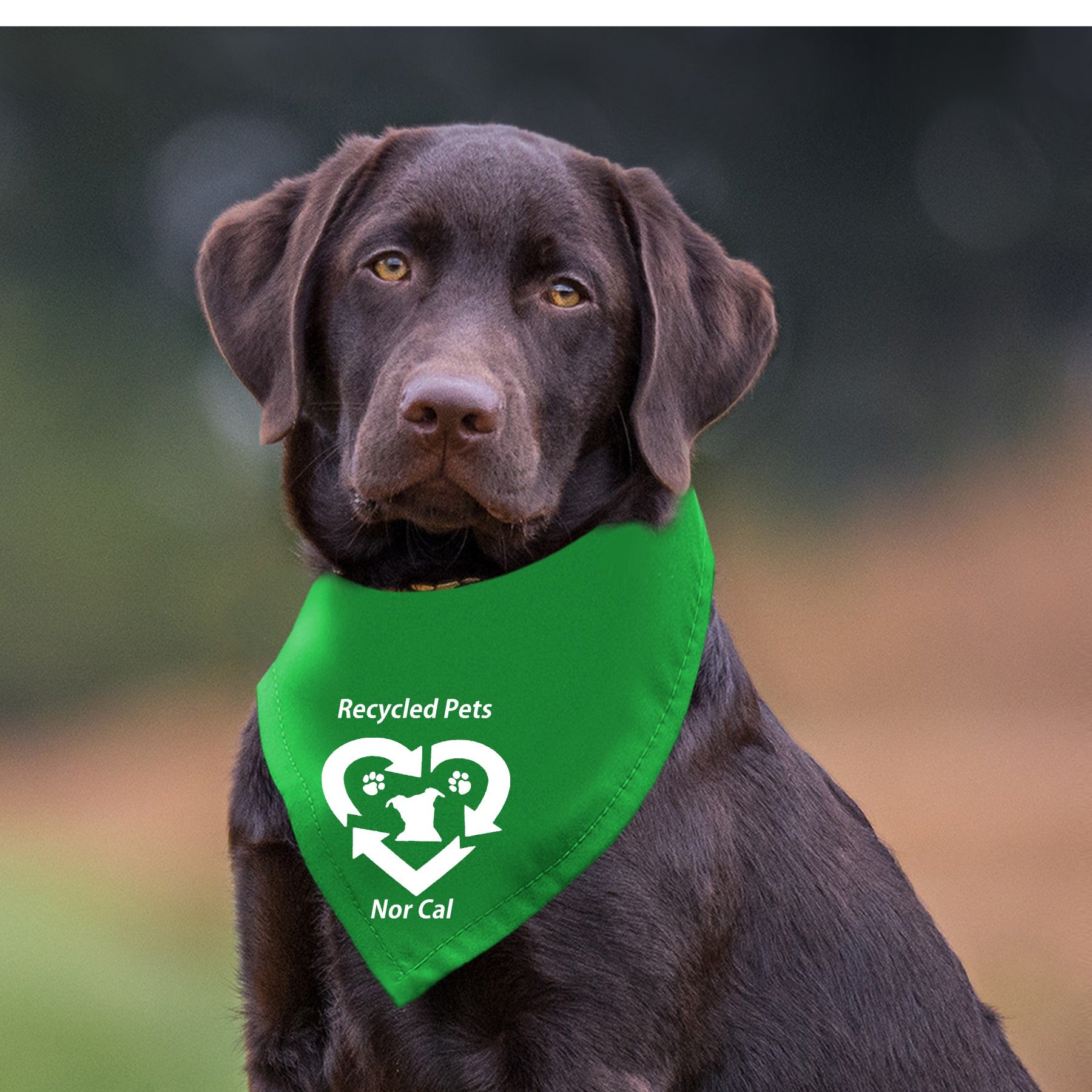 Recycled Pets NorCal Doggie Bandana - Ruff Life Rescue Wear