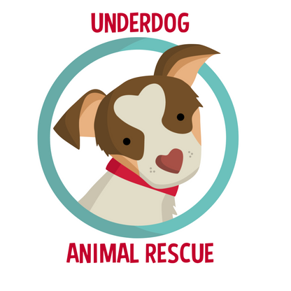 Underdog 20 oz Skinny Tumbler and Straw - Ruff Life Rescue Wear