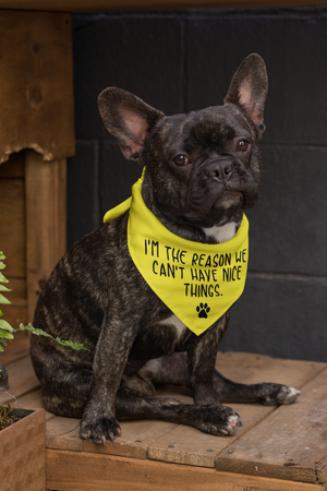 Nice Things Doggie Bandana - Ruff Life Rescue Wear
