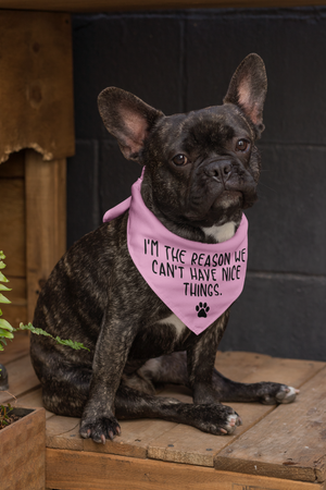 Nice Things Doggie Bandana - Ruff Life Rescue Wear