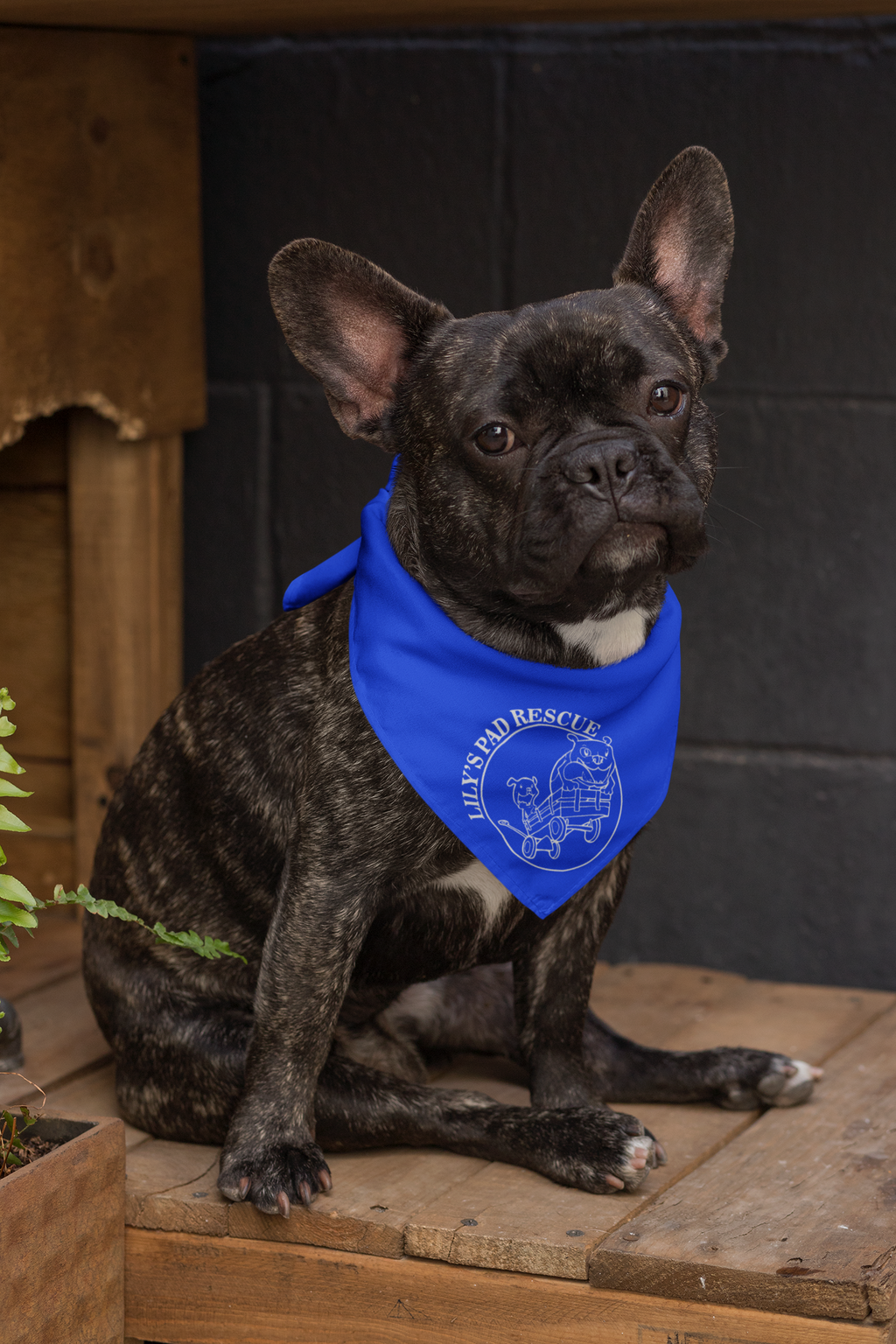 Lily's Pad Rescue Doggie Bandana - Ruff Life Rescue Wear