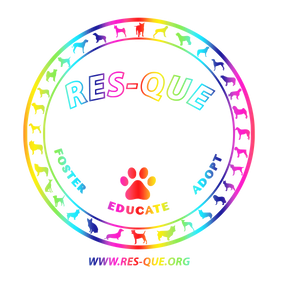 Pride Res-que Pullover Hoodie - Ruff Life Rescue Wear