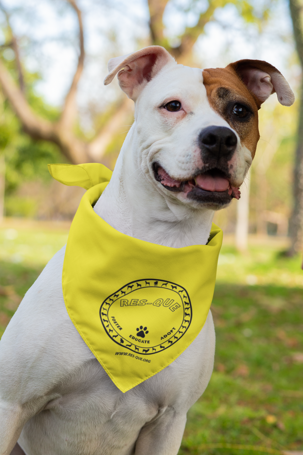 Res-Que Logo Doggie Bandana - Ruff Life Rescue Wear