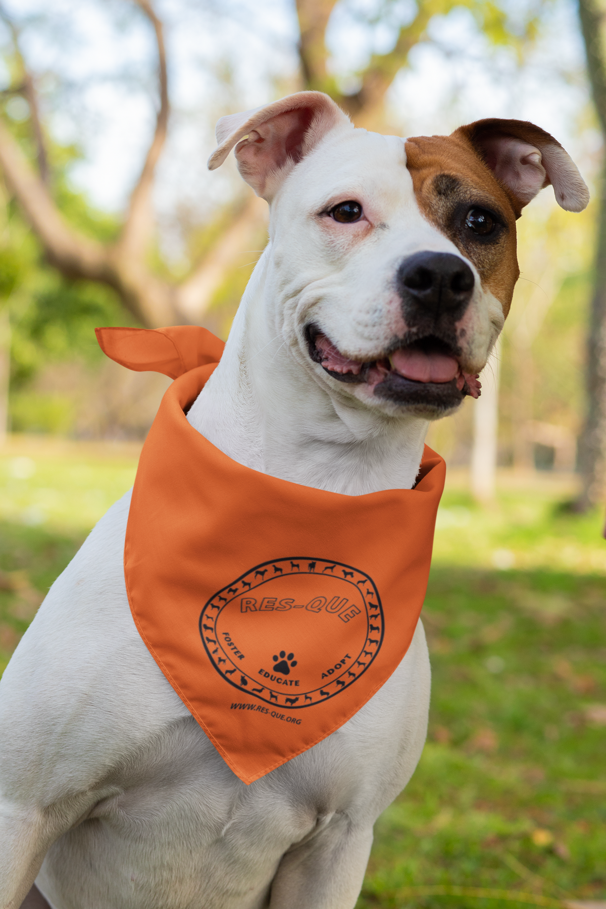 Res-Que Logo Doggie Bandana - Ruff Life Rescue Wear
